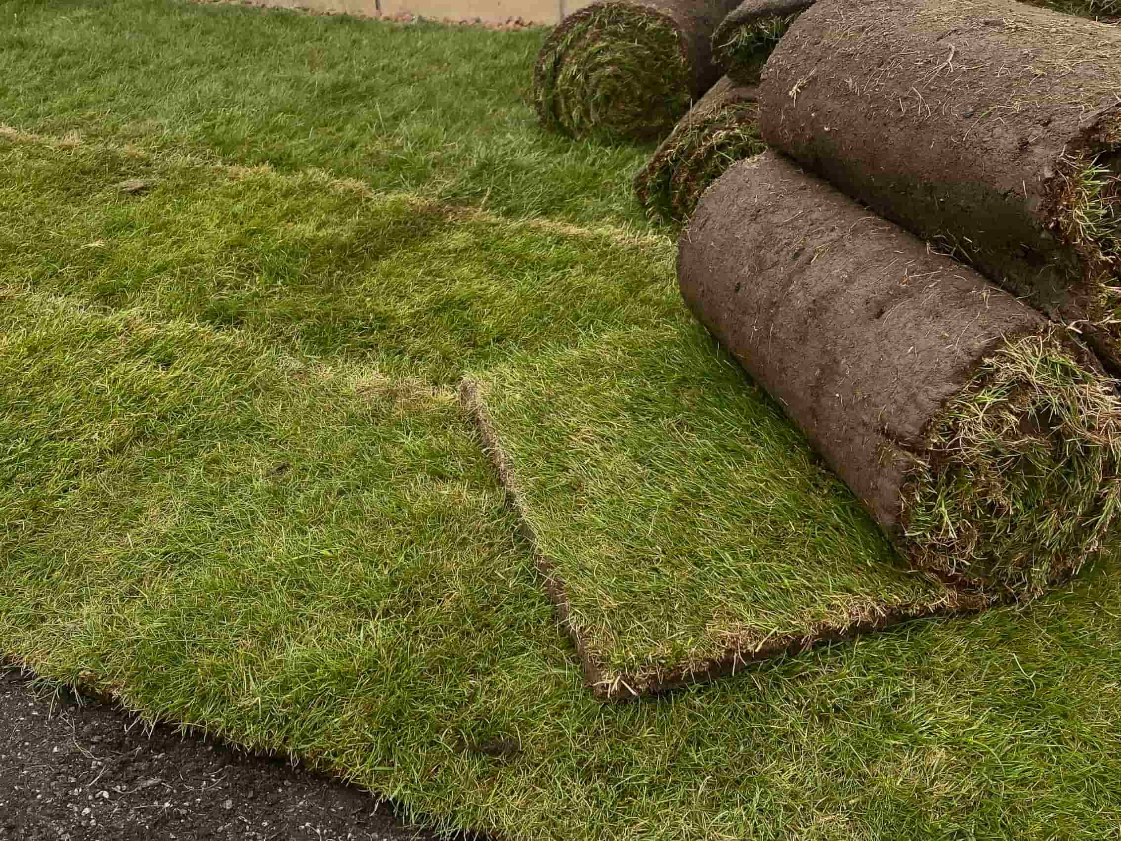 This is new garden turf ready to be installed